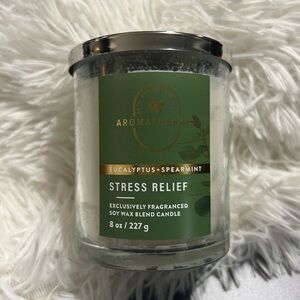 Bath & Body Works Eucalyptus and Spearmint Single Wick Jar Candle with Lid NEW!